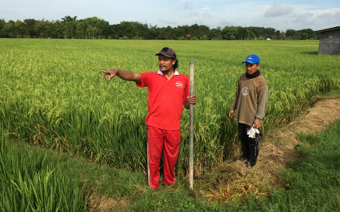 Tapak Tilas Pedamping Desa Di Tengah Bencana Raya